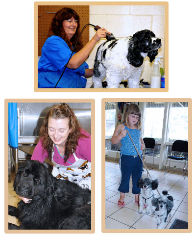 Grooming Services at Tharp Animal Hospital