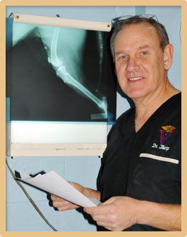 Radiography Analysis